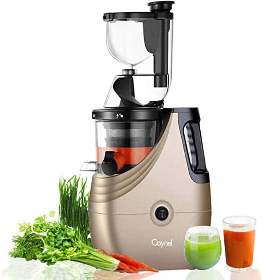 Caynel Slow Masticating Juice Extractor Wide Chute for Fruit Review