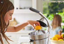 Breville 800CPXL Die Cast Stainless Steel Citrus Press