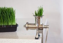 Handy Pantry Hurricane Stainless Steel Manual Wheatgrass Juicer