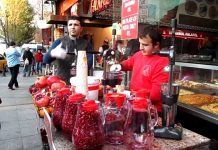 Turkish Pomegranate Juicer Press