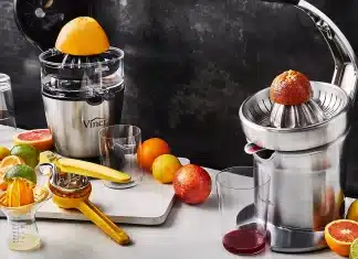 Best Electric Citrus Juicer Buying Guide