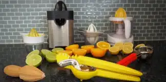 The Best Citrus Juicer for Your Kitchen Countertop Or Standalone
