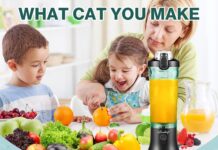 Portable Blender,22 Oz Mini Blender for Shakes and Smoothies,Personal Blender with Rechargeable USB,Fruit,Smoothie,Baby Food Mixing Machine Blender With 6 Blades,for Home,Kitchen,Travel,Sports (black)